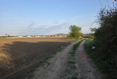 Spațiu comercial, în Sânmartin - 8