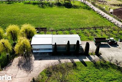 Teren de 21606 mp, în Central - 3