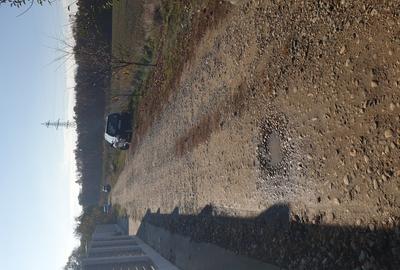 Balotesti teren intravilan 14036 mp Arc padurea Codrii Vlasiei - 7