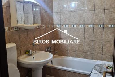 Garsonieră în Brazda lui Novac