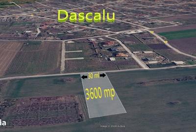 Spațiu comercial, în Dascălu