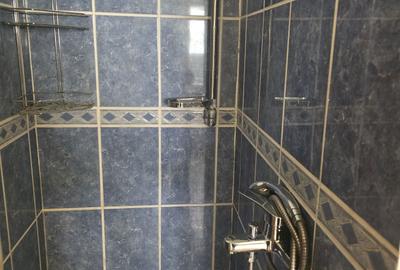 Garsonieră în Valea Rosie