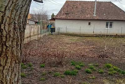 Casă cu 2 camere în Central