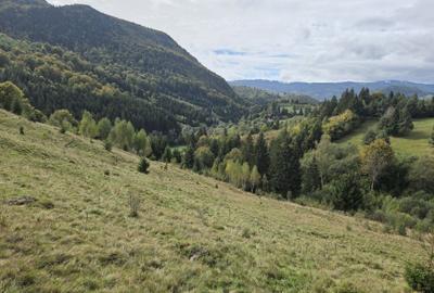 Spațiu comercial, în Podu Dâmboviței - 4