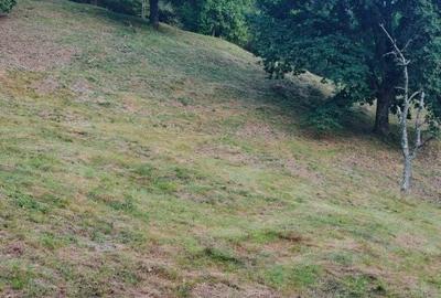 Teren de 7000 mp, în Grădiștea de Munte - 2