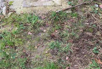 Casă cu 3 camere în Călugări - 8