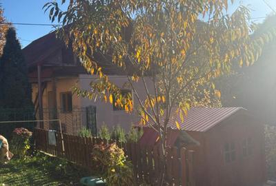 Casa batraneasca renovata Baile Olanesti, Valcea, sat Cheia - 11