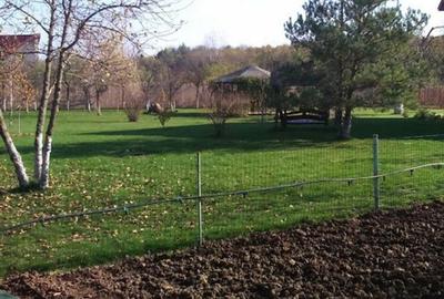 Ciopani vila 5 camere teren 4000 mp - 4