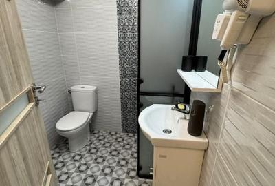 Apartament confortabil cu doua camere, Cismigiu- Casa Radio - 8