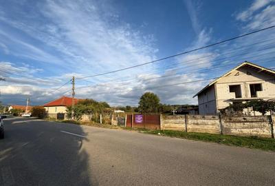 Teren 4449 mp cu utilitati, Curtisoara - la 13 km Tg. Jiu - 2