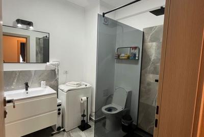 Apartament cu 2 camere în Sânmartin - 4