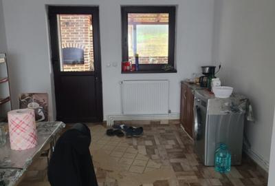 Casa de vanzare in Dobroteasa - 1