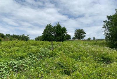Casă cu 2 camere în Vârvor - 2