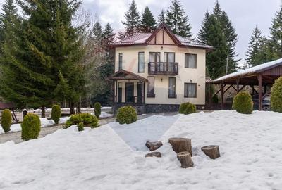 Hotel/Pensiune, de 404 mp, în Vlădeț - Trei Brazi - 38