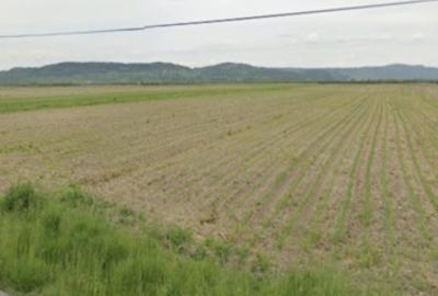 2.8600 ha de Teren agricol  ,,Fundulea . - 1