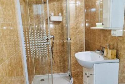 Apartament cu 2 camere semidecomandat în Calea Victoriei - 9