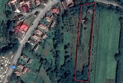 Teren si casa de vanzare in Mica, CJ - 2