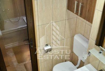 Apartament o camera, etaj intermediar si lift, Take Ionescu - 6