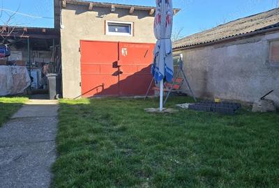 Casă cu 2 camere cu Teren 899 Mp în Covaci - 10