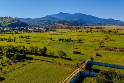 COMISION 0% Teren 1,000mp Rasnov / Strada Mihail Sadoveanu - 12