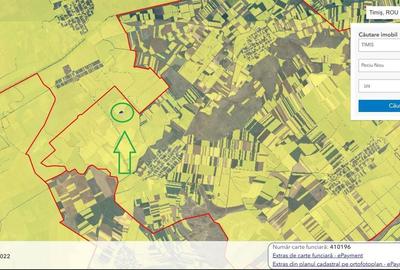 Spațiu comercial, în Peciu Nou