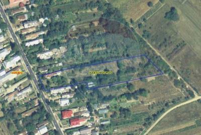 Teren Construcții intravilan de 6000 mp, în Ogrezeni - 3