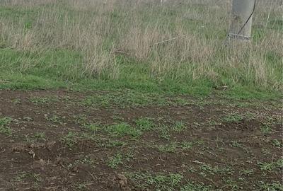 Spațiu comercial, în Costinești - 7