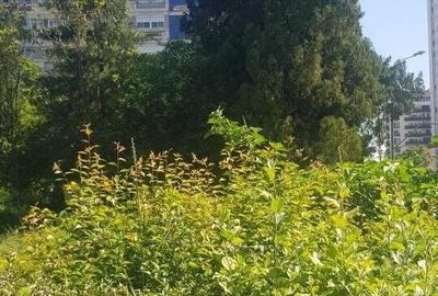 Teren in suprafata de 719 mp Str. Take Ionescu - 6