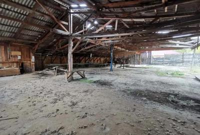 Spațiu comercial, de 1,350 mp, în Chirlești - 8