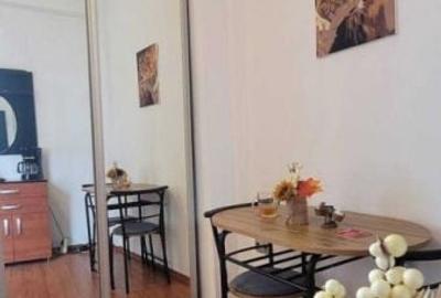 Garsoniera Cismigiu - 3