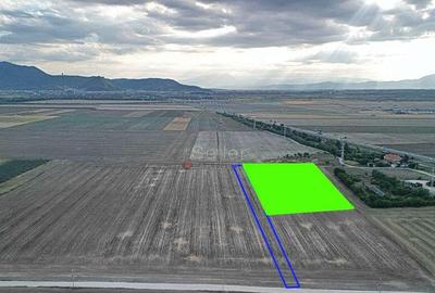 Teren Destinatie Industriala - 18