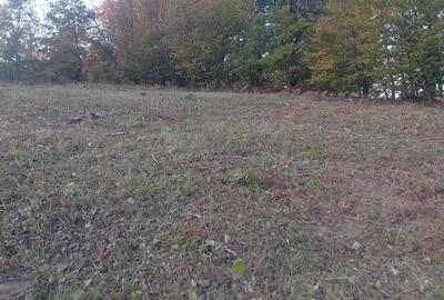 Spațiu comercial, în Ineu - 4