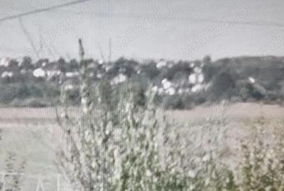 Teren de 4800 mp, în Bascov - 2