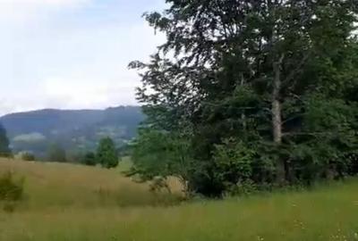 Spațiu comercial, în Central - 5