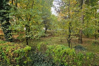 Apartament 2 camere, 48 mp, zona Albina Apartament 2 camere, 48 mp, zona Albina - 12