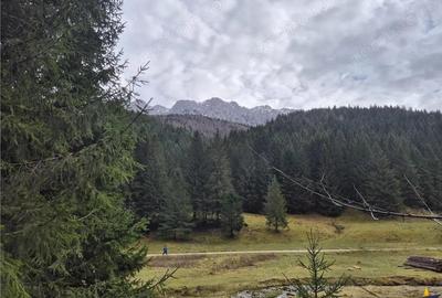 Teren de 4591 mp, în Plaiul Foii - 9