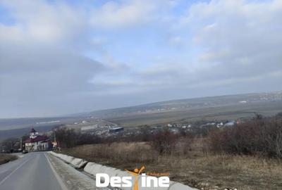 Teren de 8100 mp, în Dumești - 3