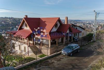 Villa Zona Bucium-Plopii Fara Sot ( pretabila si comercial) POTENTIAL RIDICAT - 3