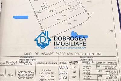 Casă individuală cu 3 camere cu Teren 2205 Mp în Niculițel - 5
