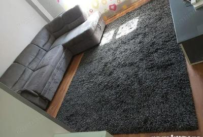 Garsonieră nedecomandată în Lipovei