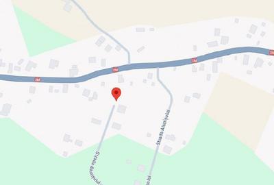 Teren intravilan loc. Brosteni, judetul Vrancea - 5