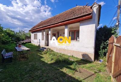 Casa 2 Camere, Teren 1081 mp, Ciugud - 2