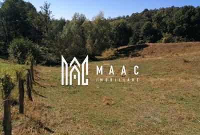 Teren Extravilan 20.000Mp I Stoenești -Vâlcea I Apă Curentă și Pădure - 10