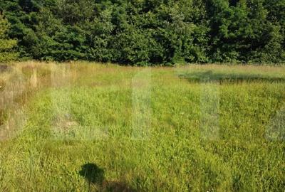 Teren de 700 mp, în Central - 4