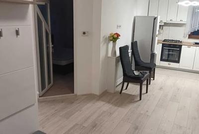 Apartament cu 3 camere semidecomandat, mobilat în Mănăștur - 4