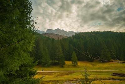 Teren intravilan panoramic 4.600mp,view iconic Piatra Craiului,oportunitate prem - 1