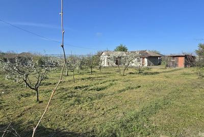 Casă cu 4 camere cu Teren 1917 Mp în Corbu - 14