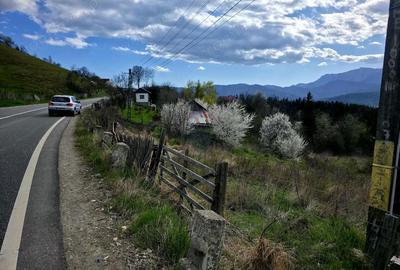 Teren de 941 mp, în Hangu - 11
