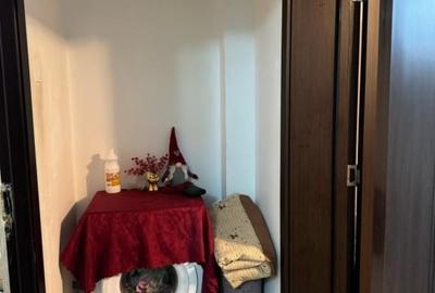 Tatarasi-Doi Baieti-2 Camere 48mp-renovat - 3