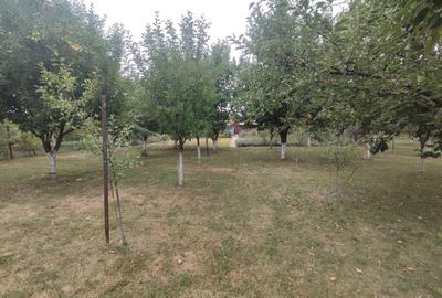 Casă individuală cu 6 camere cu Canalizare în Sânandrei - 3